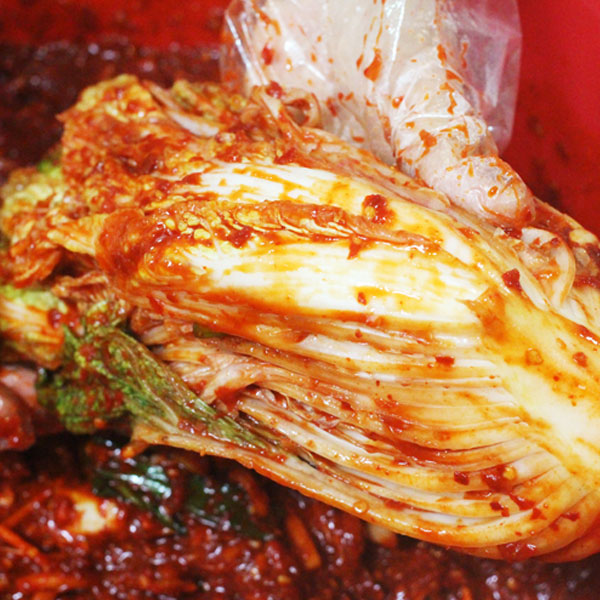 【自家製】白菜キムチ5kg:韓国食品・食材専門の通販店「韓国市場」