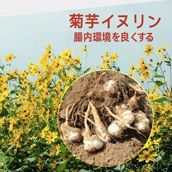 腸活菊芋ハニー濃縮シロップ 280g イヌリン&フラクトオリゴ糖配合で腸内環境を整える健康食品
