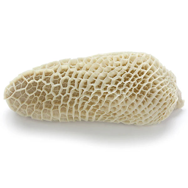 【牛肉】ハチノス(ボイル/2番目の胃袋)1kg