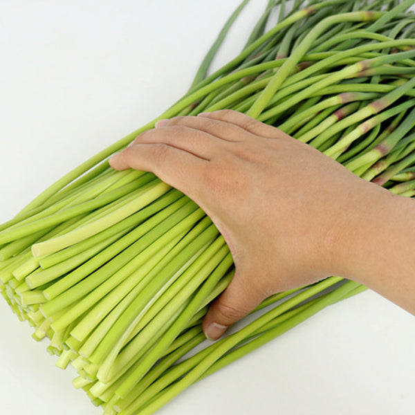 【自家製】茎ニンニクの辛味噌漬け 500g (マヌルジョン・にんにくの芽):韓国市場