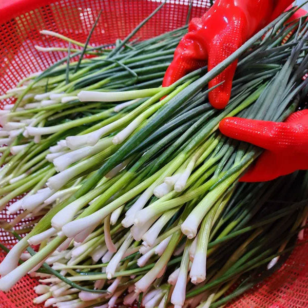 【自家製】ネギキムチ1kg