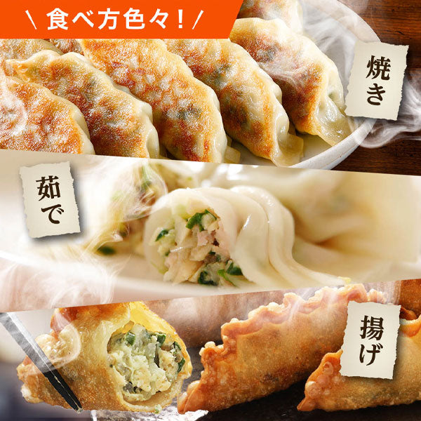【ビビゴ】王マンドゥ 肉&野菜 1kg 王餃子