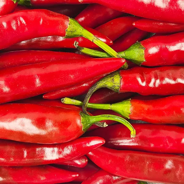 無地 辛口 唐辛子粉1kg(調味用)