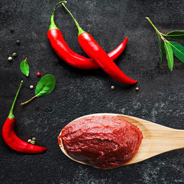 【ヘチャンドル】太陽草 辛口 コチュジャン1kg