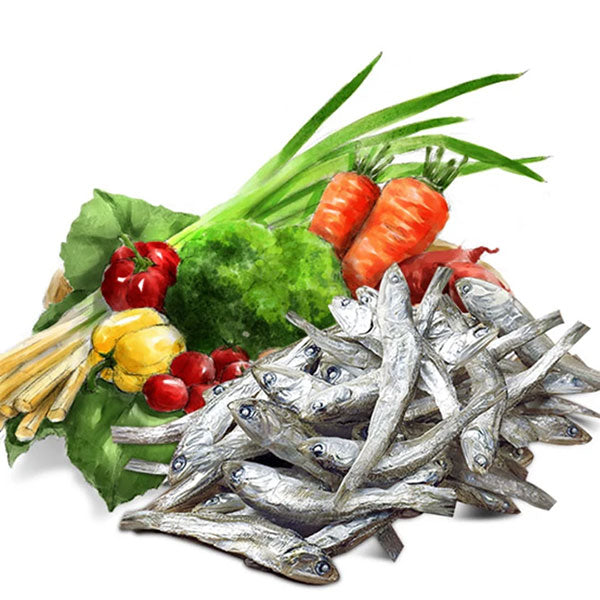 韓国調味料 【CJ】煮干ダシダ100g