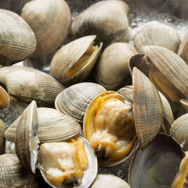 韓国調味料 【CJ】貝ダシダ300g