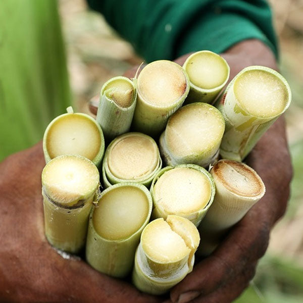 味元1kg(業務用)