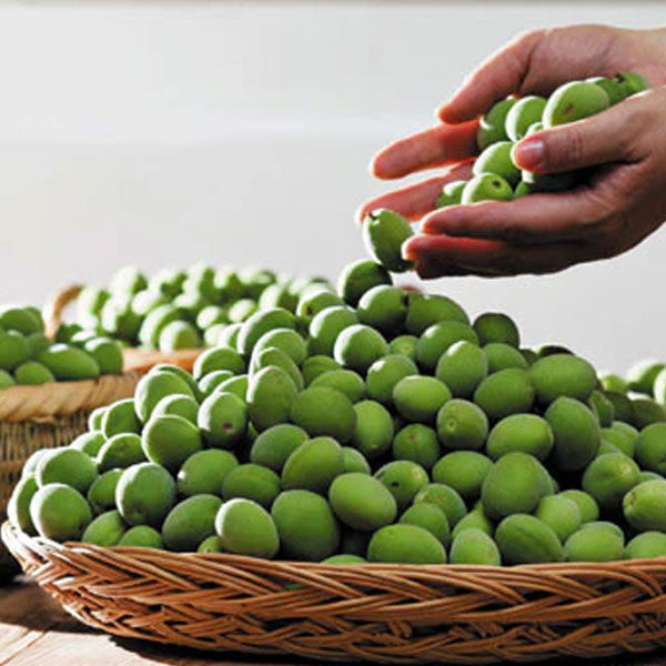 【オットギ】料理梅エキス(メシルチョン)