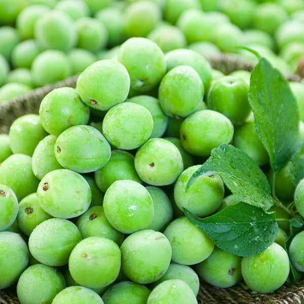 【オットギ】料理梅エキス(メシルチョン)