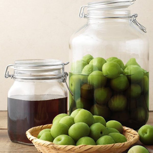 【オットギ】料理梅エキス(メシルチョン)