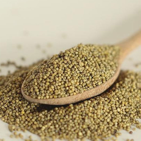 【長寿洋行】もちあわ(チャゾ)700g 韓国産 クセがない もちもち食感
