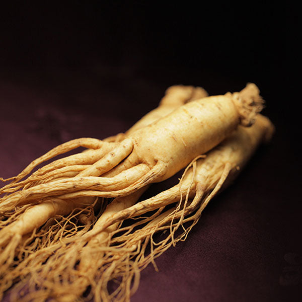 高麗人参茶 (紙箱) 100包 健康茶