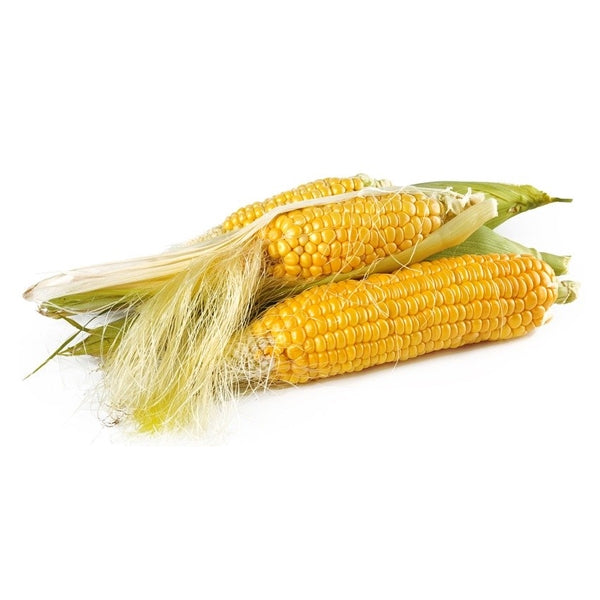 【ダムト】トウモロコシひげ茶 60g(ティーバッグ18包)香ばしい健康茶 カフェインゼロ