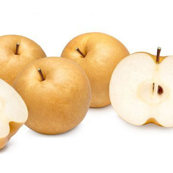 【ヘテ】すりおろし梨 ジュース 238ml×12個入 韓国梨ジュース 果肉入り みずみずしい甘さ