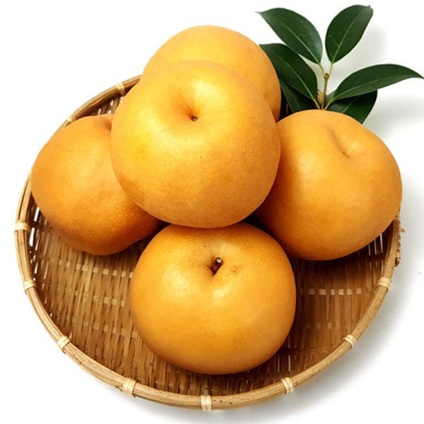 【ヘテ】すりおろし梨 ジュース 238ml×12個入 韓国梨ジュース 果肉入り みずみずしい甘さ