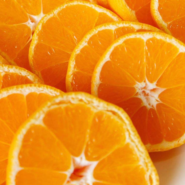 【ヘテ】オレンジ ボンボン 238ml 缶 つぶつぶ 果肉入り 韓国ジュース:韓国市場