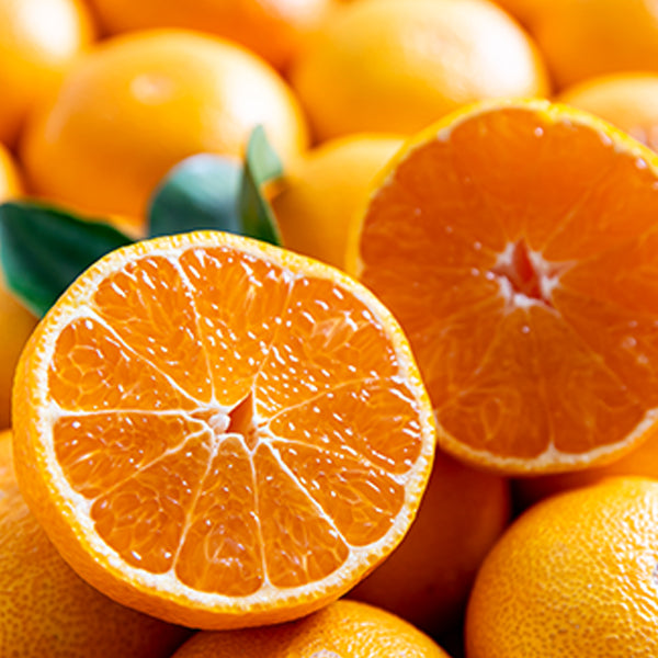 【ロッテ】済州ミカンジュース 180ml:韓国市場