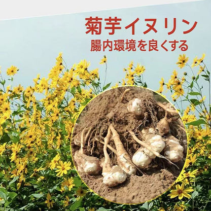 腸活菊芋ハニー濃縮シロップ 280g イヌリン＆フラクトオリゴ糖配合で腸内環境を整える健康食品