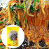 【宋家】春雨500g 韓国料理定番 もちもち春雨