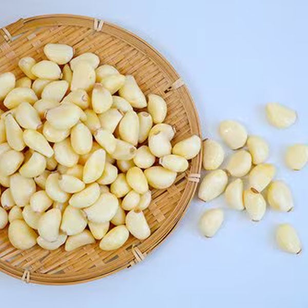 おろしニンニク 1kg すりおろしタイプ 料理用 大容量