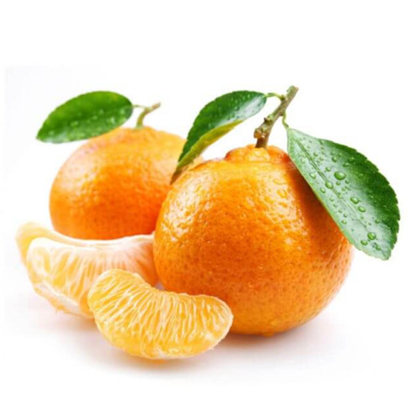 【ロッテ】済州ミカンジュース 180ml:韓国市場