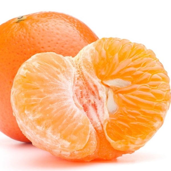 【ロッテ】済州ミカンジュース 180ml:韓国市場